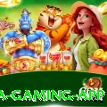 1316bet Mega Gaming App