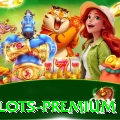 558g - Slots Premium