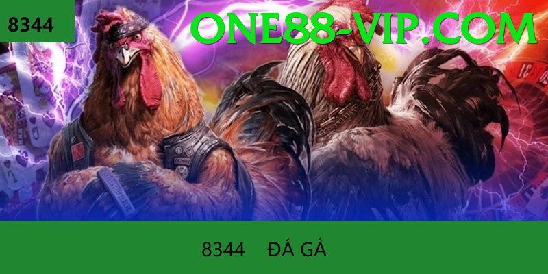 Cách Đọc Kèo Đá Gà - Sự kiện